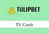 tulipbettvizle