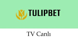 tulipbettvizle