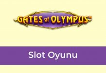 Gates of Olympus Slot Oyunu